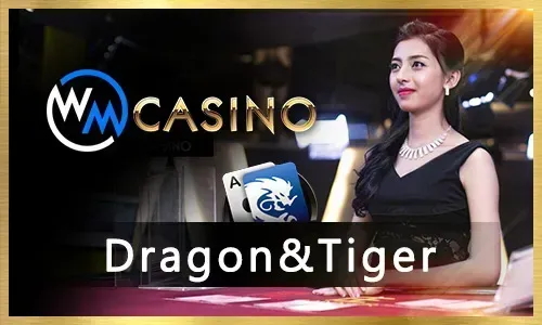 Jili Slots Games
